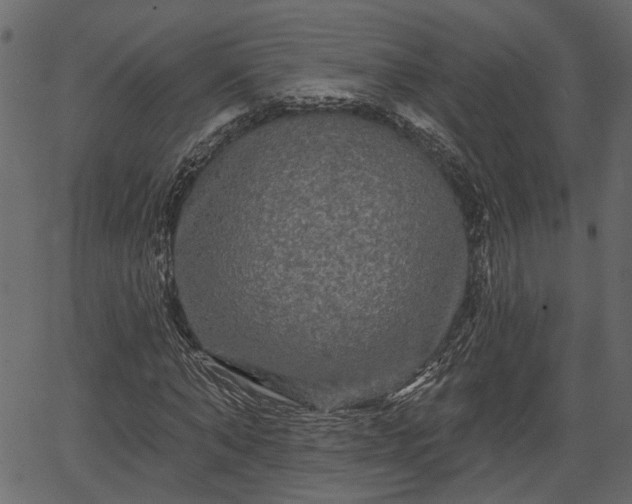 X0000066930870200603311349