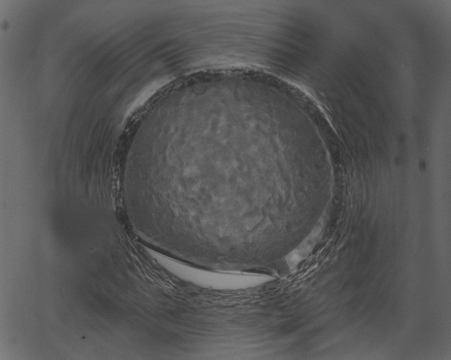 X0000066930871200603311349