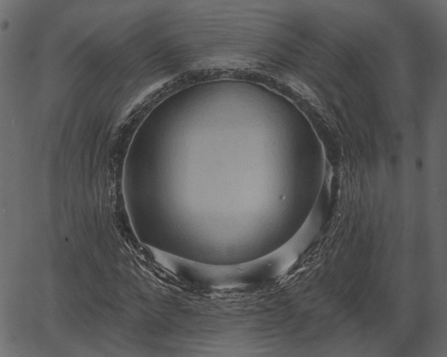 X0000066930872200603311349