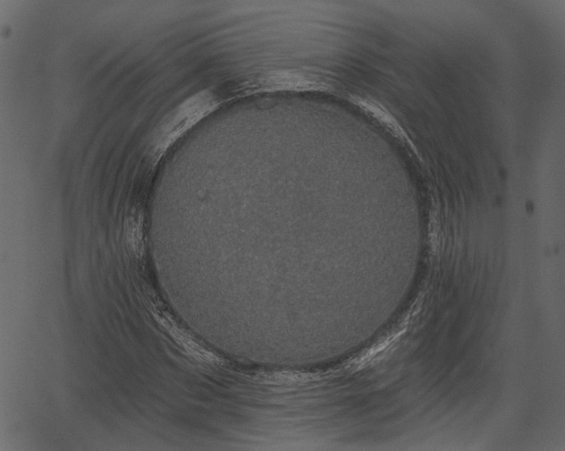 X0000066930873200603311349