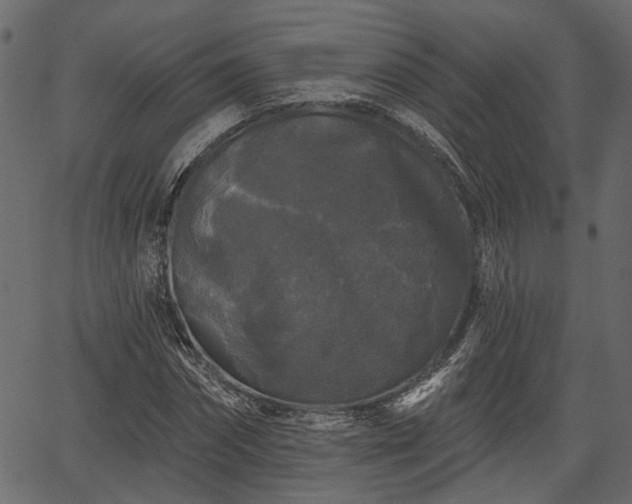 X0000066930874200603311349