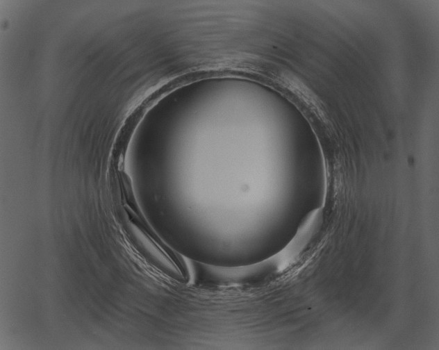 X0000066930876200603311349