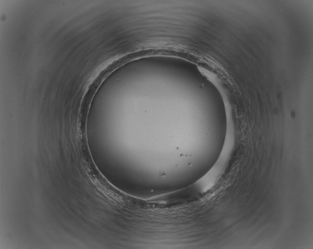 X0000066930880200603311349