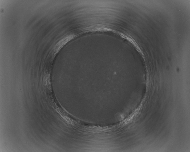 X0000066930881200603311349