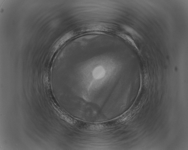 X0000066930882200603311349