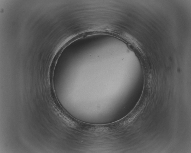 X0000066930884200603311349