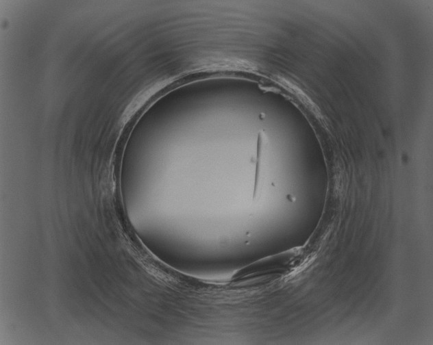 X0000066930885200603311349