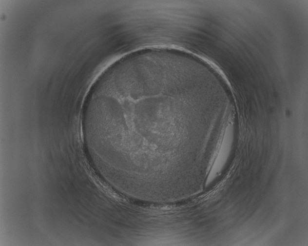 X0000066930887200603311349