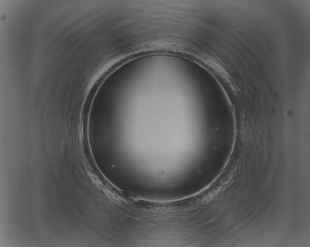 X0000066930888200603311349