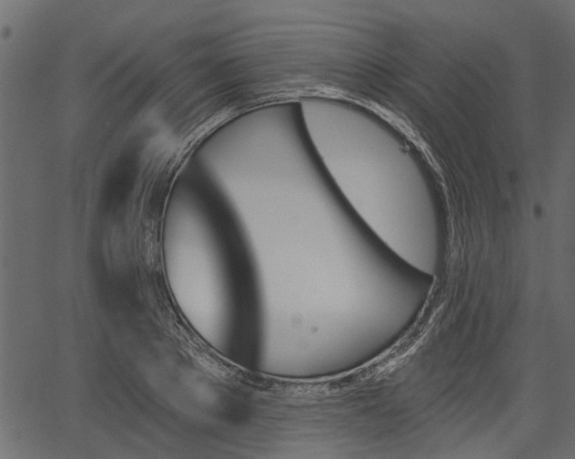 X0000066930889200603311349