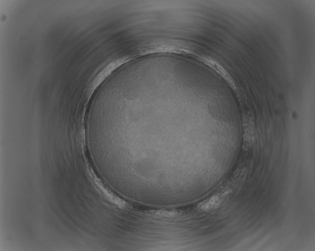 X0000066930890200603311349