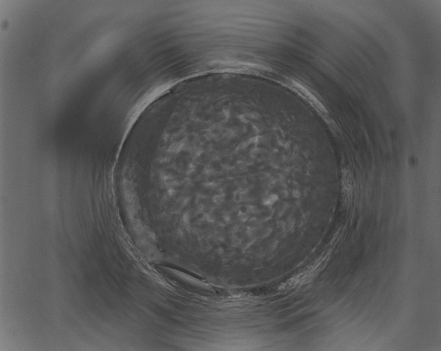 X0000066930891200603311349