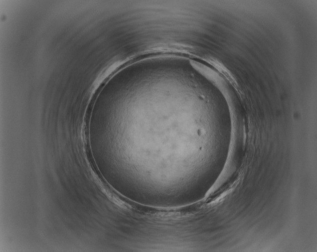 X0000066930893200603311349