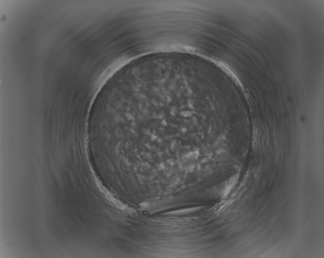 X0000066930895200603311349