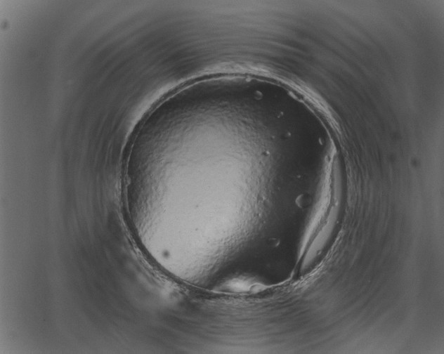 X0000066930896200603311349