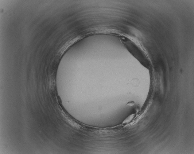 X0000066930897200603311349