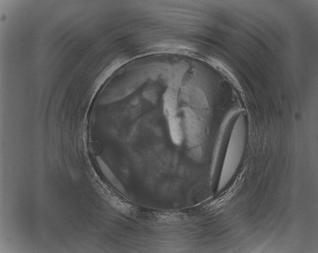 X0000066930899200603311349