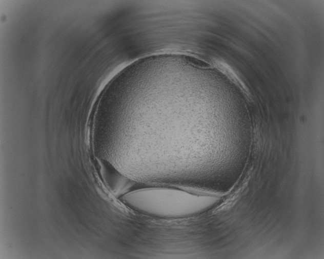 X0000066930900200603311349