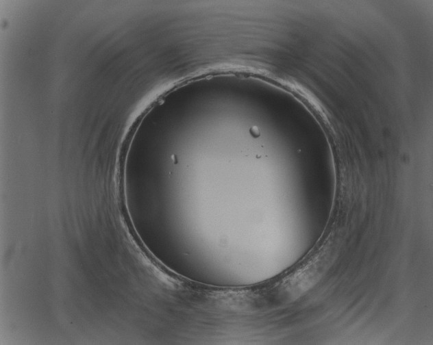 X0000066930902200603311349