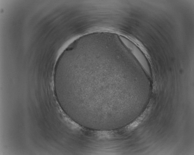 X0000066930904200603311349