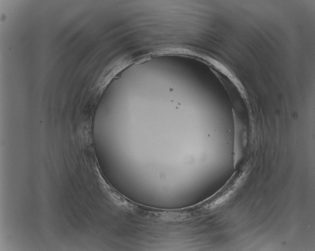 X0000066930905200603311349