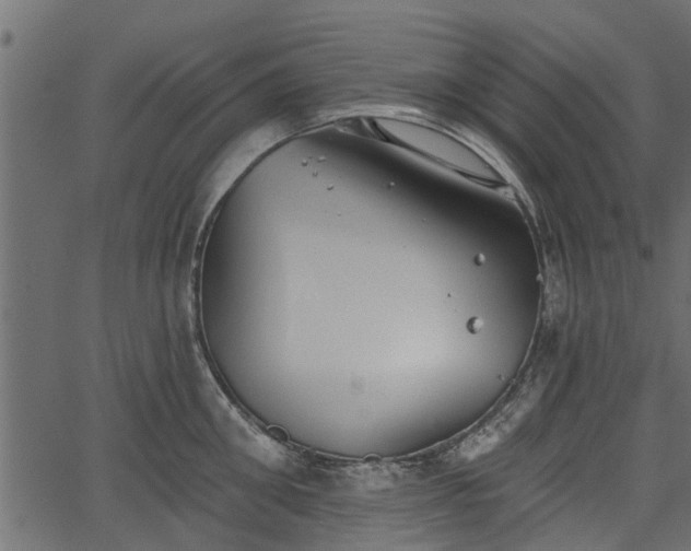 X0000066930906200603311349