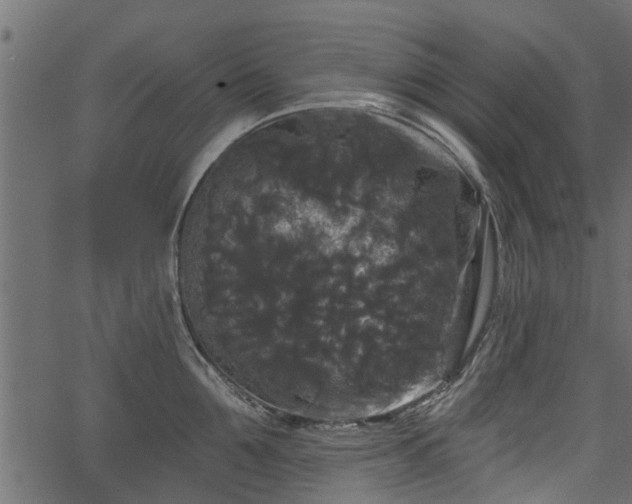 X0000066930907200603311349