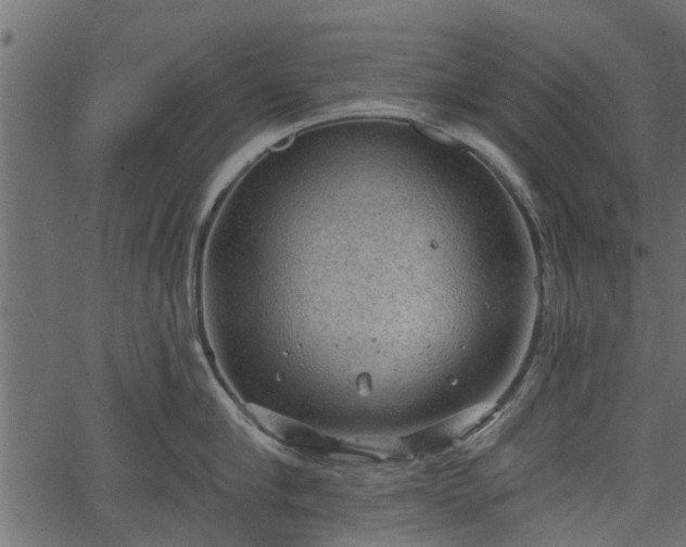 X0000066930910200603311349