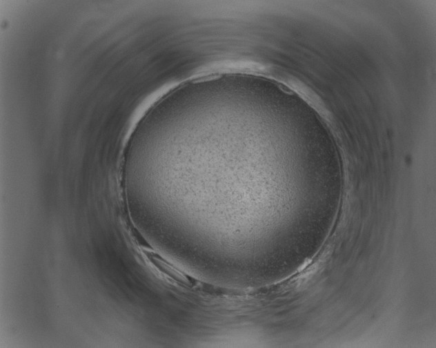 X0000066930912200603311349