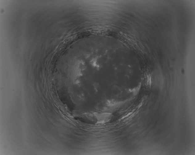 X0000066930913200603311348