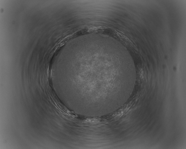 X0000066930914200603311348