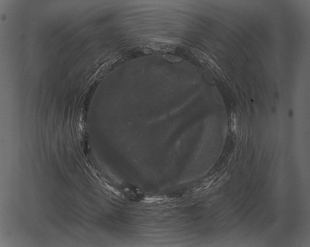 X0000066930915200603311348