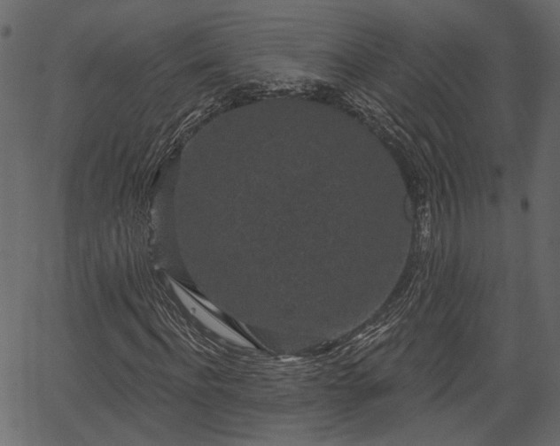 X0000066930916200603311348