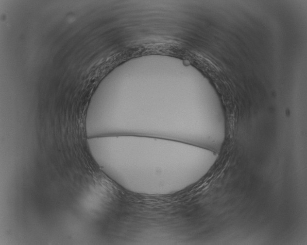 X0000066930917200603311348