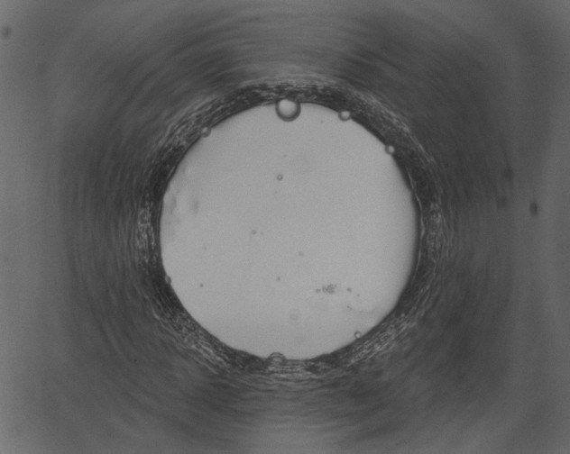 X0000066930918200603311348