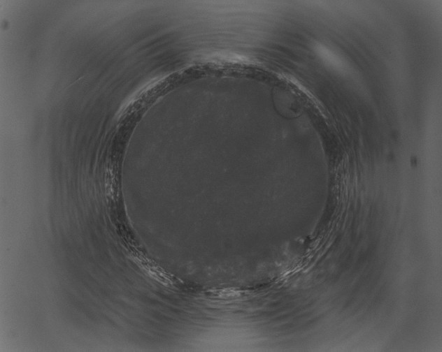 X0000066930919200603311348