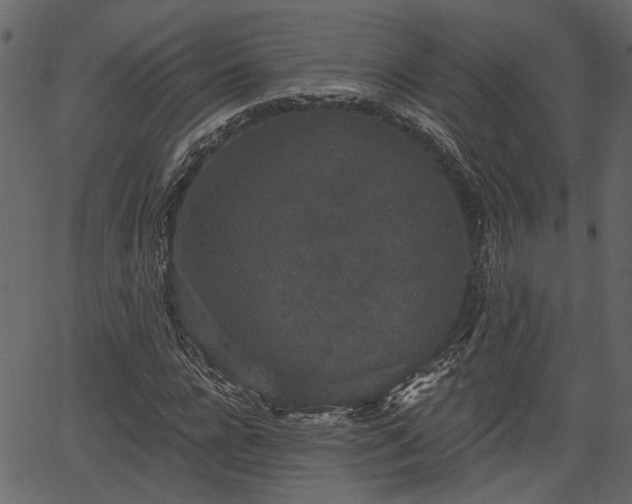 X0000066930920200603311348