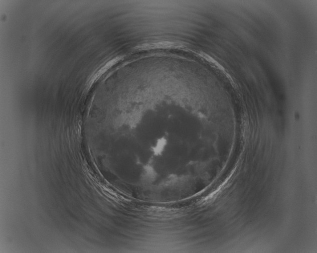 X0000066930921200603311348