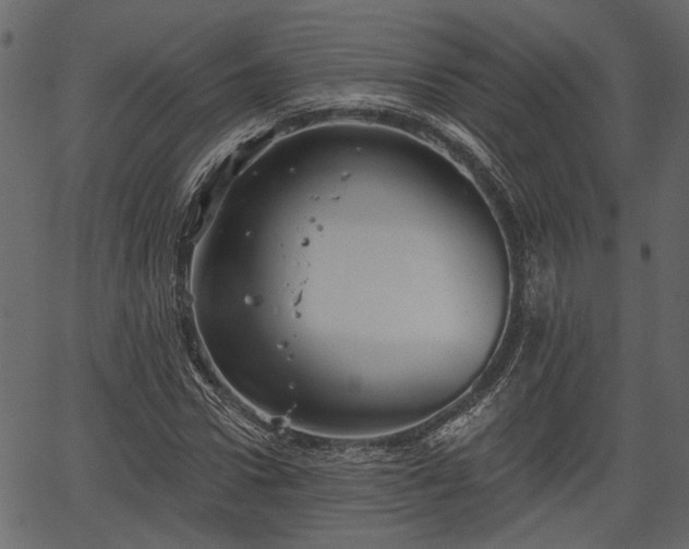 X0000066930922200603311348