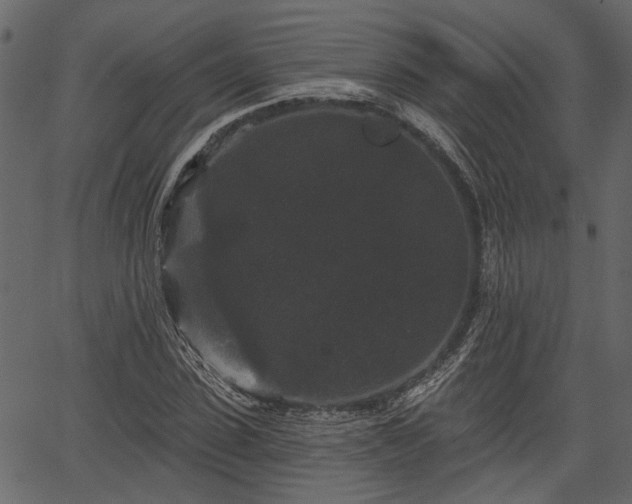 X0000066930923200603311348