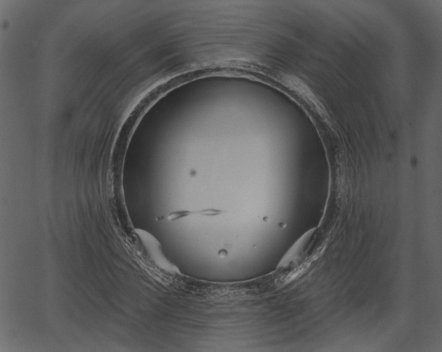 X0000066930924200603311348