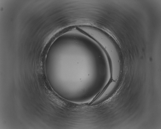 X0000066930926200603311348