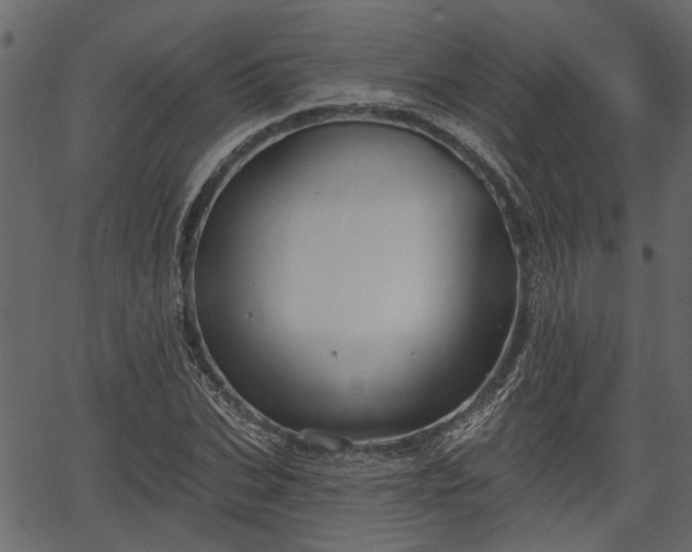 X0000066930927200603311348