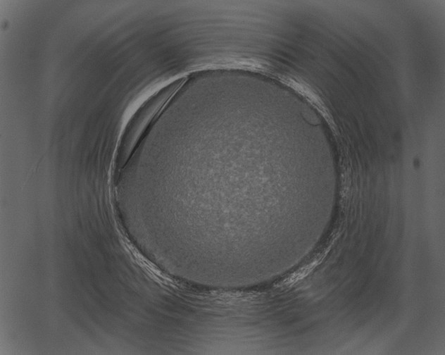 X0000066930928200603311348