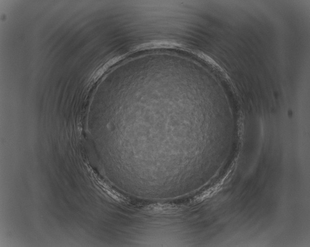 X0000066930929200603311348