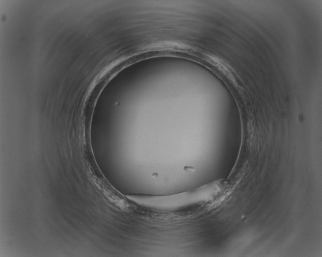 X0000066930931200603311348