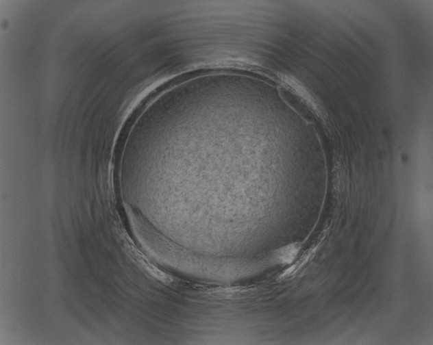 X0000066930932200603311348