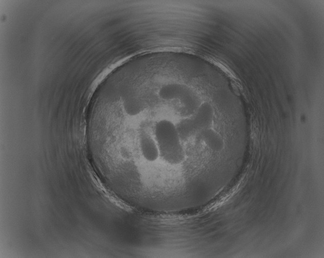 X0000066930933200603311348