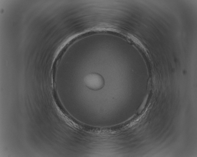 X0000066930934200603311348