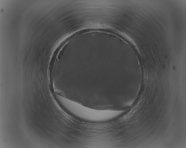 X0000066930935200603311348